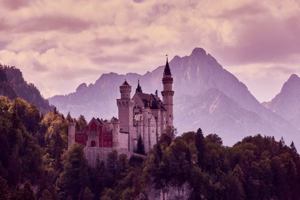 Castle on a mountain surrounded by trees.