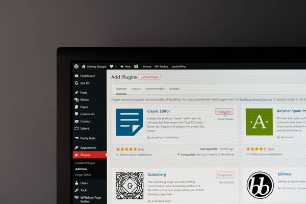 Screenshot of Plugins page in WordPress.